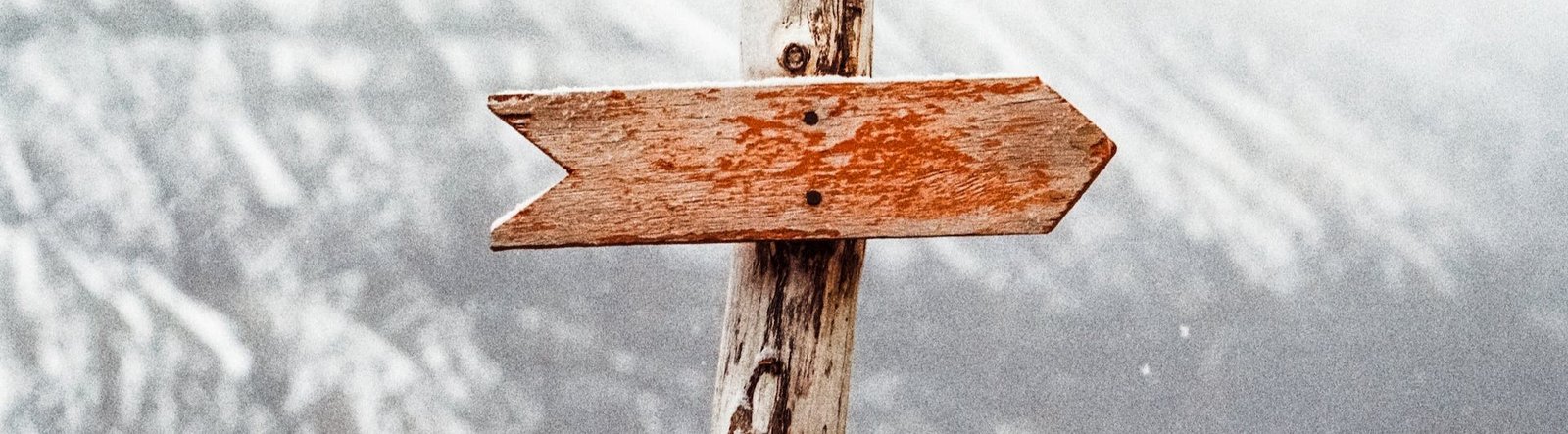 page hero, a wooden sign shaped like an arrow